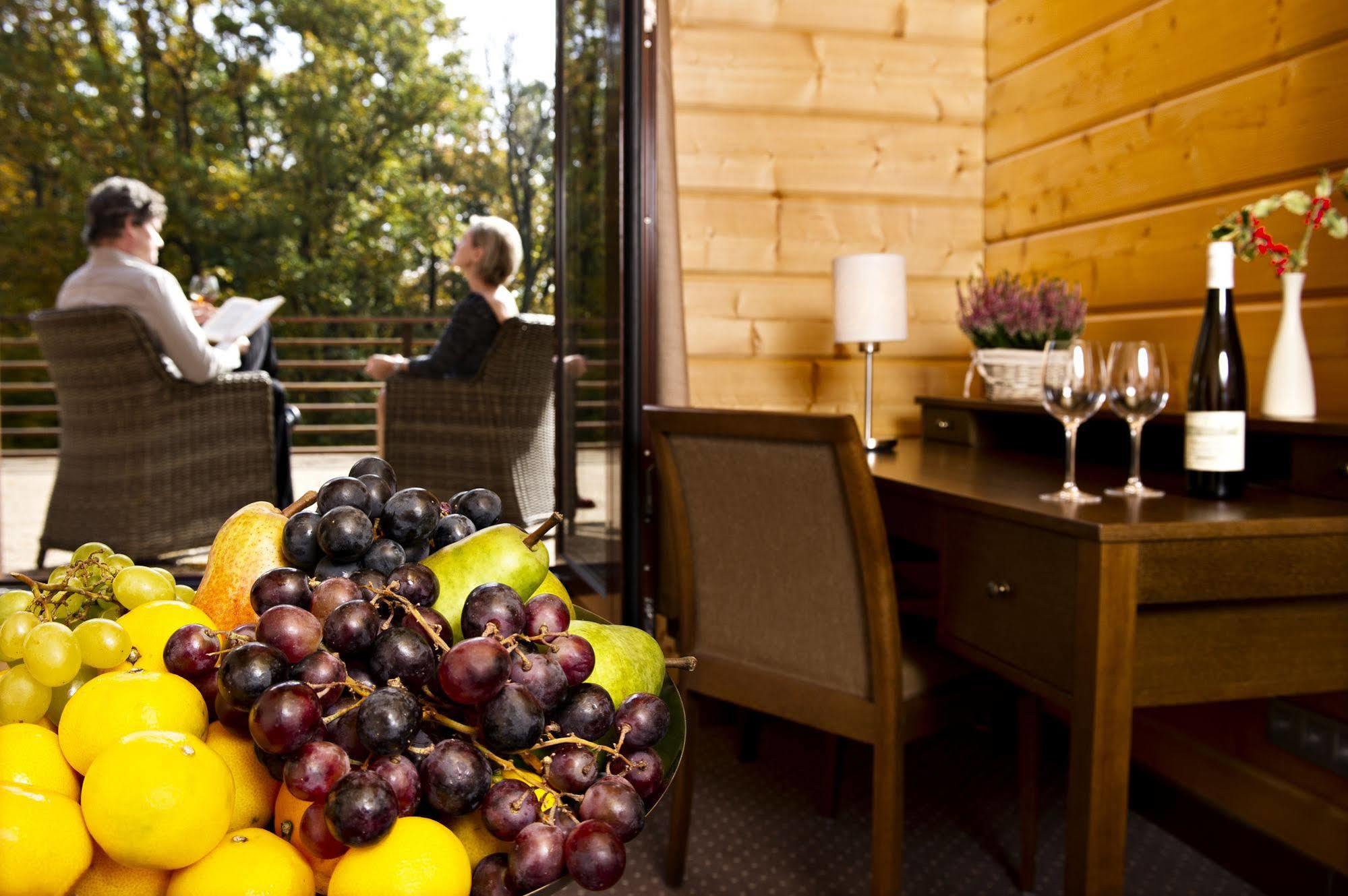Hotel Zochova Chata - Adult Friendly Модра Экстерьер фото